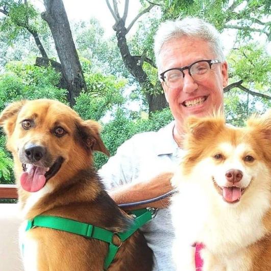 Craig Dodge with dogs Digo and Peanut at Treeline Urban Resort, Siem Reap, Cambodia
